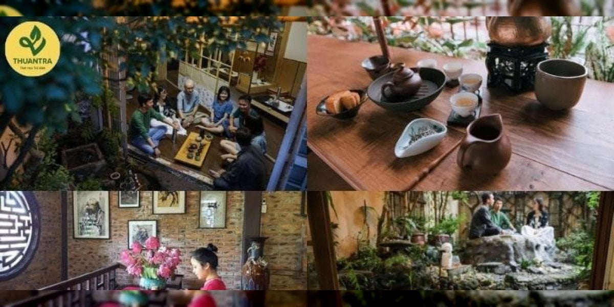 8 quán trà đạo yên tĩnh ở Hà Nội: chọn theo nhu cầu, khung giá và loại trà từng quán mạnh
