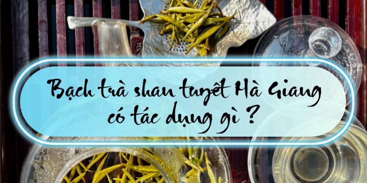 Bạch trà shan tuyết Hà Giang có tác dụng gì ?