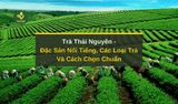 Trà Thái Nguyên: Đặc Sản Nổi Tiếng, Các Loại Trà Và Cách Chọn Chuẩn