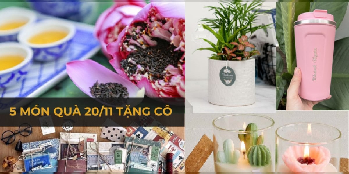 5 món quà 20/11 tặng cô ý nghĩa: chọn theo người tặng, ngân sách, gợi ý hộp trà và mẫu lời nhắn