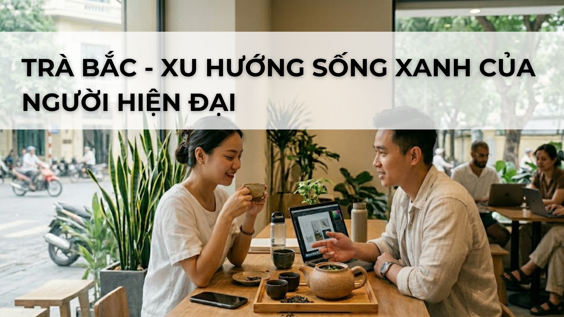TRÀ BẮC - XU HƯỚNG SỐNG XANH CỦA NGƯỜI HIỆN ĐẠI