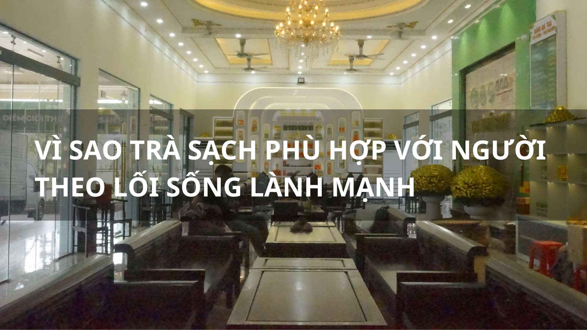 Vì sao trà sạch phù hợp với người theo lối sống lành mạnh
