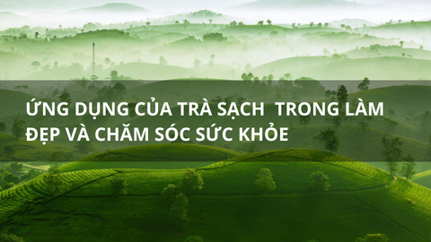 Chống Lão Hóa Từ Bên Trong Bằng Trà Hữu Cơ: Bí Quyết Giữ Gìn Làn Da Thanh Xuân Của Phái Đẹp