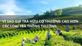 Vì sao giá trà hữu cơ thường cao hơn các loại trà thông thường?