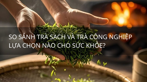 So Sánh Trà Sạch và Trà Công Nghiệp - Lựa chọn nào tốt cho sức khỏe