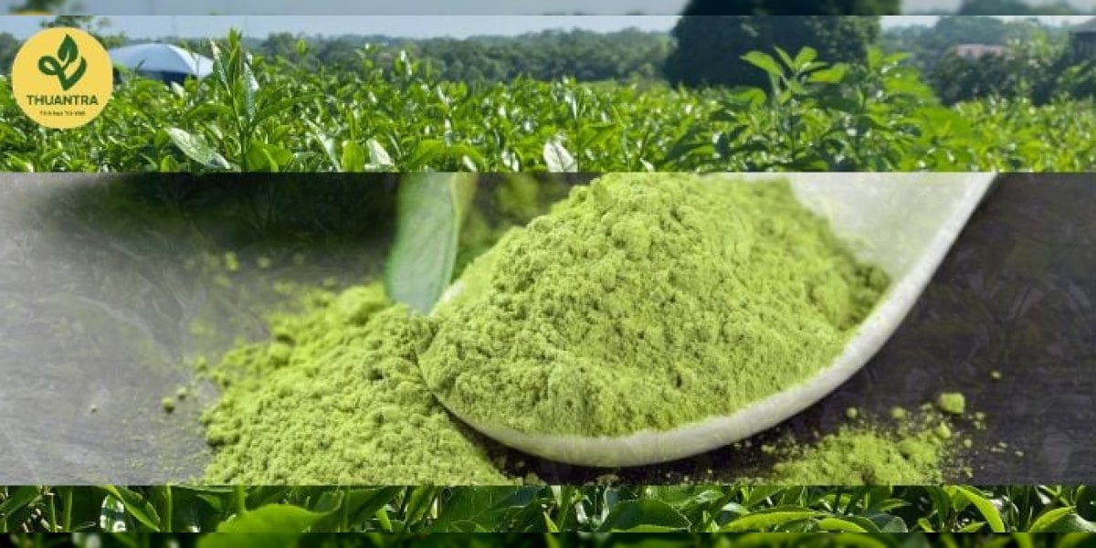 Bột Matcha Là Gì? Nguồn Gốc, Quy Trình Sản Xuất Và Cách Phân Biệt Hàng Thật