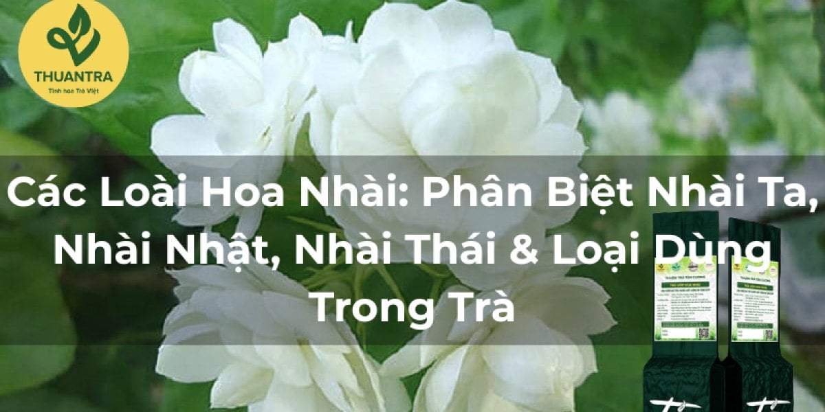 Các Loại Hoa Nhài: Phân Biệt Nhài Ta, Nhài Nhật, Nhài Thái & Loại Dùng Ướp Trà