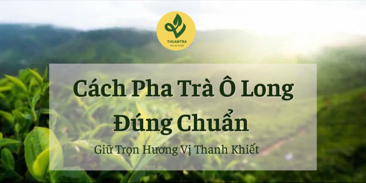 Cách Pha Trà Ô Long Đúng Chuẩn – Giữ Trọn Hương Vị Thanh Khiết