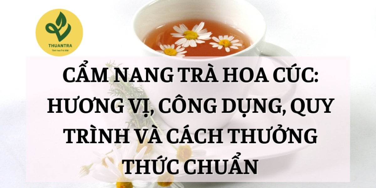 Cẩm Nang Trà Hoa Cúc: Hương Vị, Công Dụng, Quy Trình Và Cách Thưởng Thức Chuẩn