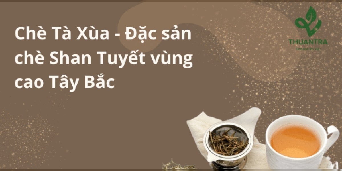 Chè Tà Xùa – shan tuyết cổ thụ Bắc Yên, Sơn La: vì sao nổi tiếng, thu hái và chế biến, giá 2026, cách nhận biết và pha đúng