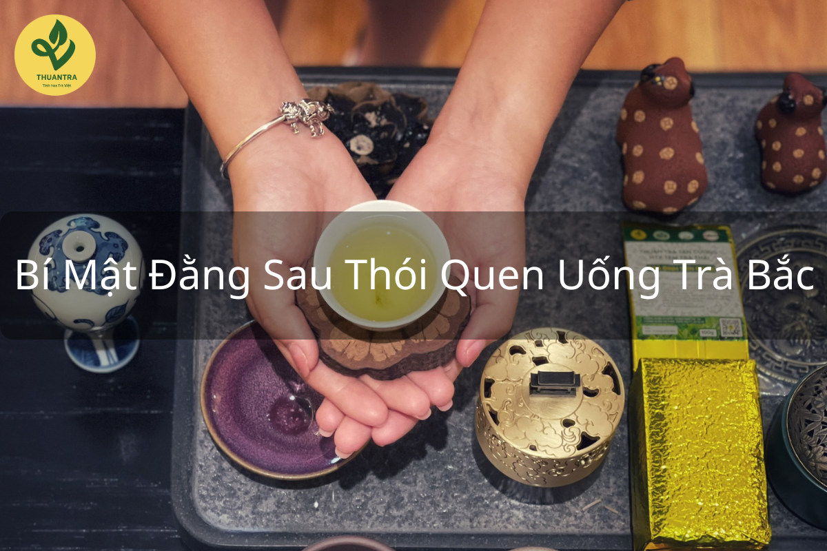 Bí Mật Đằng Sau Thói Quen Uống Trà Bắc