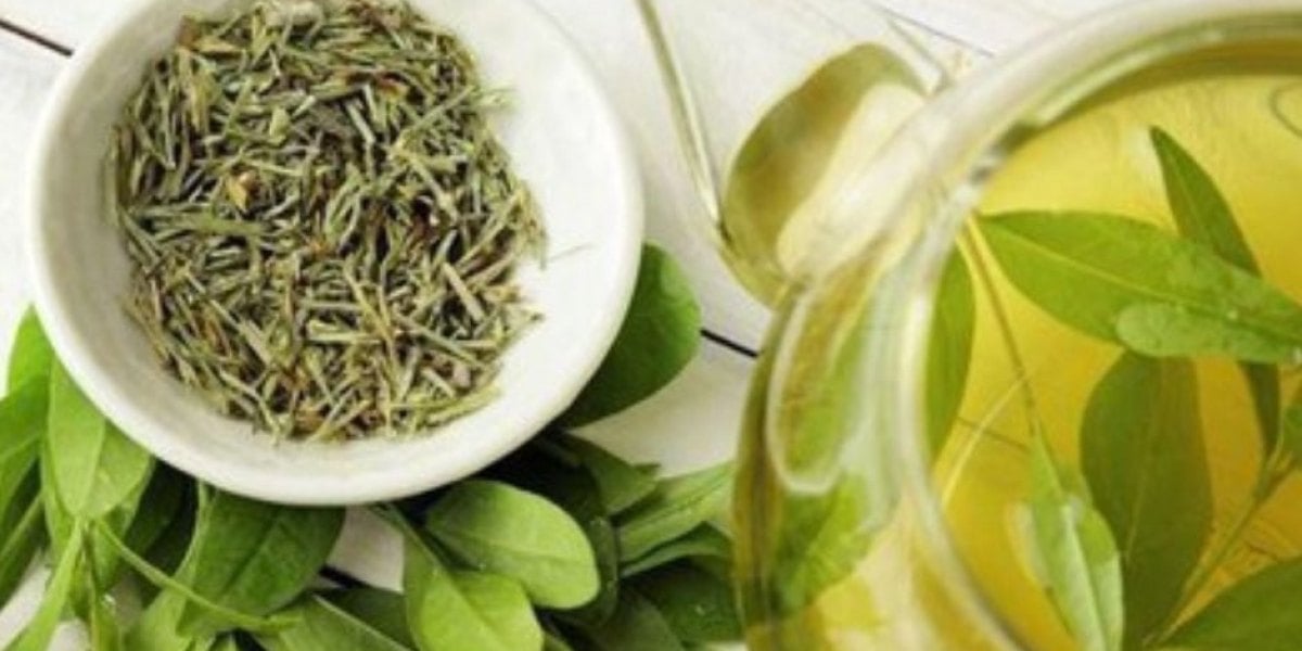 Có Nên Uống Trà Khi Đói Bụng?