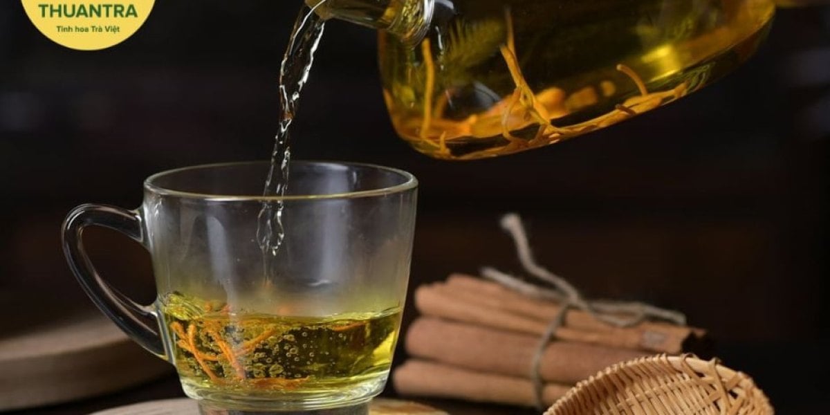 Trà đông trùng hạ thảo cho người lớn tuổi: có nên dùng, liều khởi đầu, tương tác thuốc và cách pha nhẹ bụng
