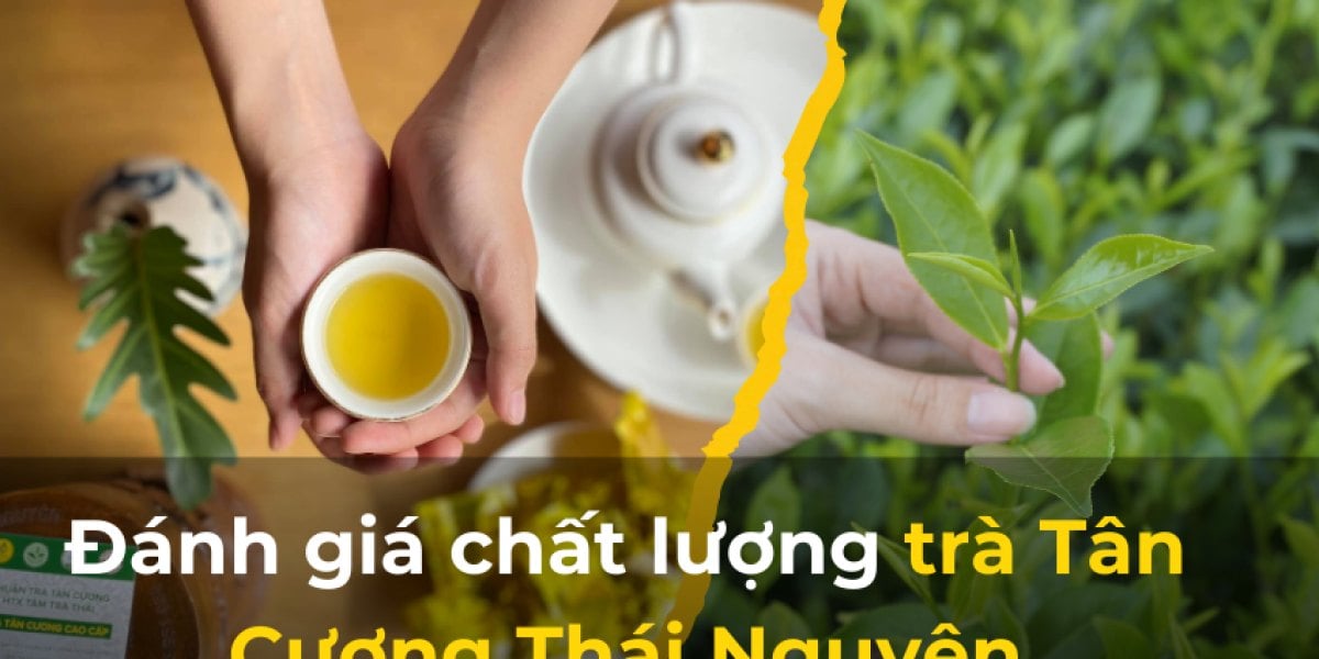 Đánh giá chất lượng trà Tân Cương Thái Nguyên: Có đáng giá tiền?