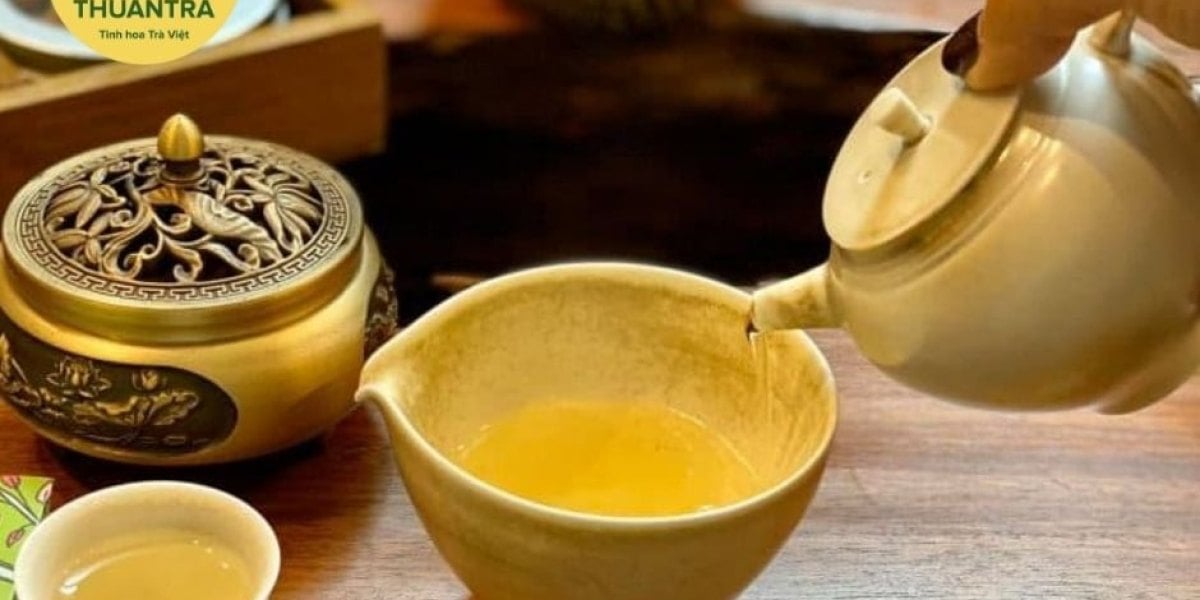 Mua trà ngon ở Hà Nội ở đâu? Bốn kênh mua, cách kiểm tra trà tại quầy, giá chuẩn 2026 và địa chỉ theo từng mục đích
