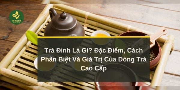 Trà Đinh Là Gì? Đặc Điểm, Cách Phân Biệt Và Giá Trị Của Dòng Trà Cao Cấp