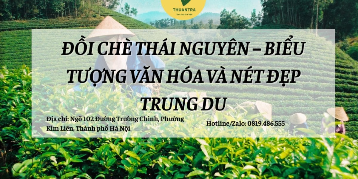 Đồi Chè Thái Nguyên:  Biểu Tượng Văn Hóa và Nét Đẹp Trung Du