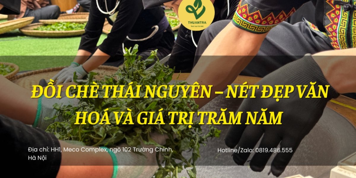 Đồi Chè Thái Nguyên – Nét Đẹp Văn Hoá và Giá Trị Trăm Năm?