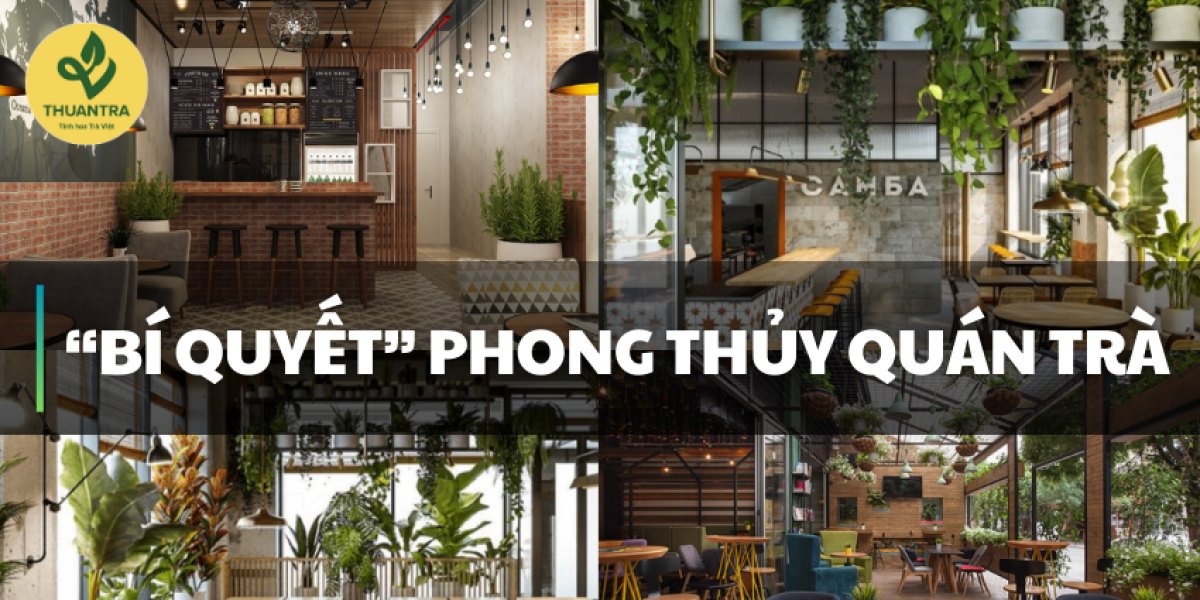 Phong thuỷ bàn trà phòng khách: đặt ở đâu, chọn màu nào, bày bộ ấm chén ra sao — và số đo công năng nên nhớ