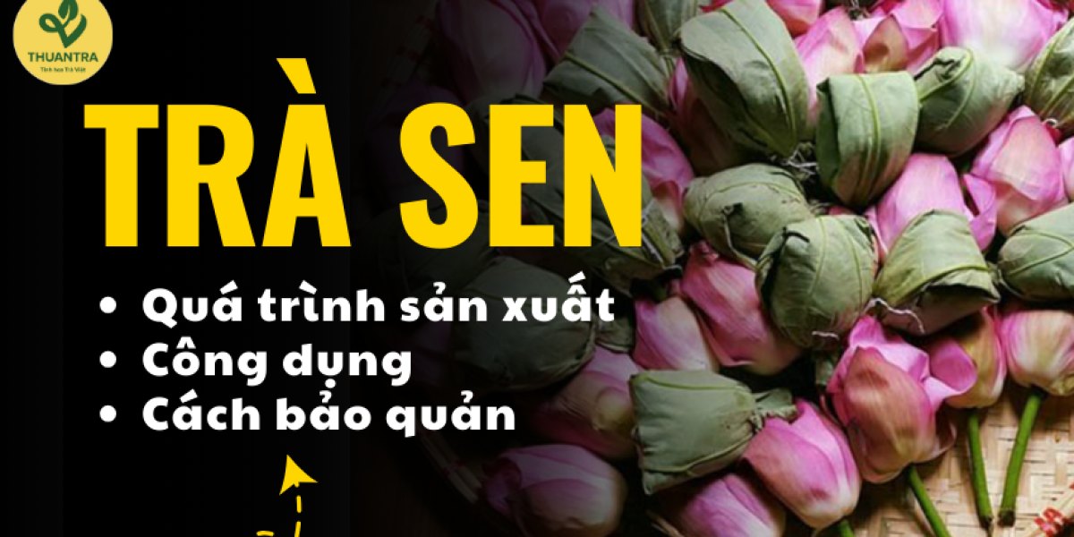 Cách ướp trà sen nguyên bông tại nhà và bảo quản trà sen giữ hương: 7 bước ướp, bảng thời hạn theo từng loại, xử lý trà sen nhạt hương