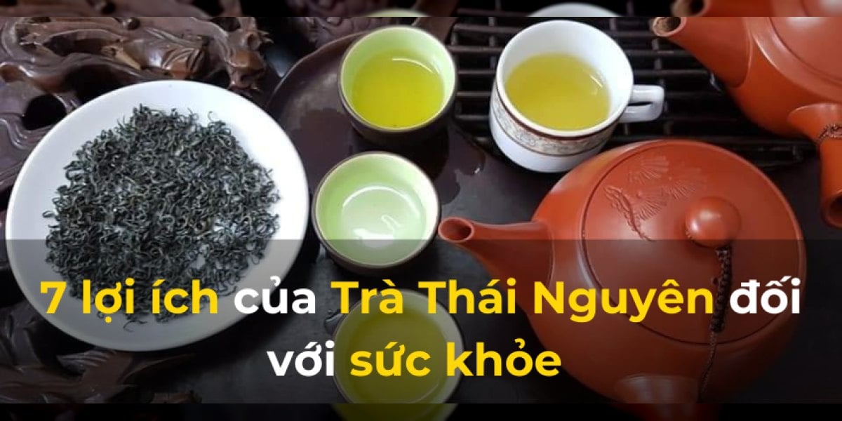 Uống trà Thái Nguyên có tác dụng gì? 7 lợi ích có bằng chứng, chọn hạng trà nào cho mục tiêu nào và ai cần hạn chế