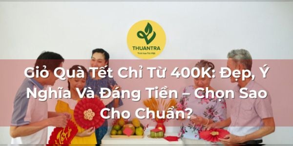Giỏ Quà Tết Chỉ Từ 400K: Đẹp, Ý Nghĩa Và Đáng Tiền – Chọn Sao Cho Chuẩn?