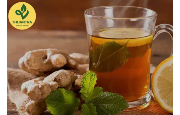 Trà Đinh là gì? So sánh các loại trà Đinh và bảng giá trên thị trường trà 2024