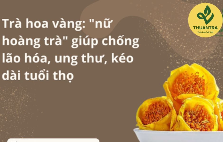 Trà hoa vàng: 