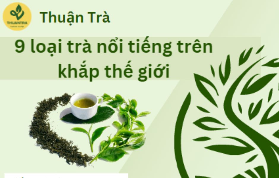 9 loại trà nổi tiếng trên khắp thế giới