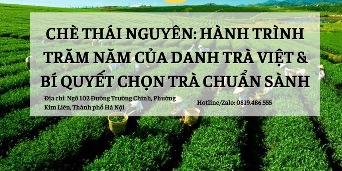 Chè Thái Nguyên: Hành Trình Trăm Năm Của Danh Trà Việt & Bí Quyết Chọn Trà Chuẩn Sành