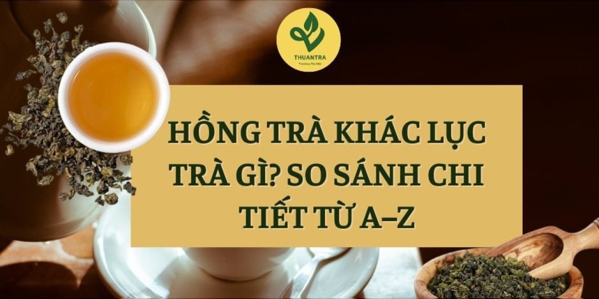 Hồng Trà Khác Lục Trà Gì? So Sánh 12 Tiêu Chí Và Cách Chọn Đúng Loại