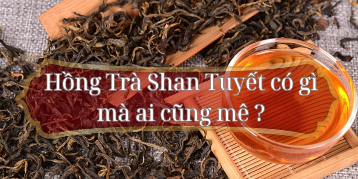 Hồng Trà Shan Tuyết có gì mà ai cũng mê ?