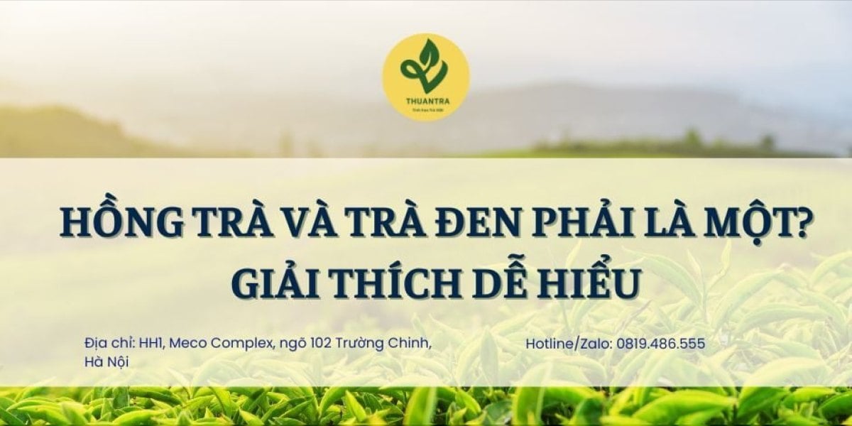 Hồng trà và trà đen phải là một? Giải thích dễ hiểu