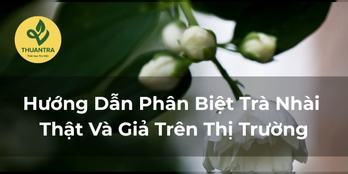 Hướng Dẫn Phân Biệt Trà Nhài Thật Và Giả Trên Thị Trường