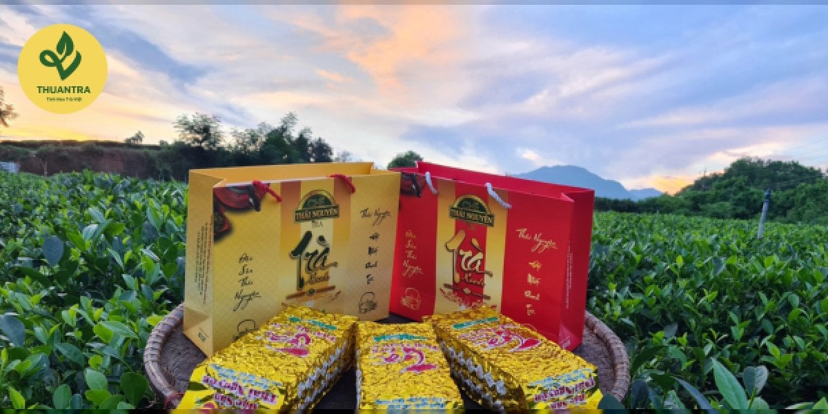 Hướng dẫn sử dụng và tận dụng bảng giá trà Tân Cương