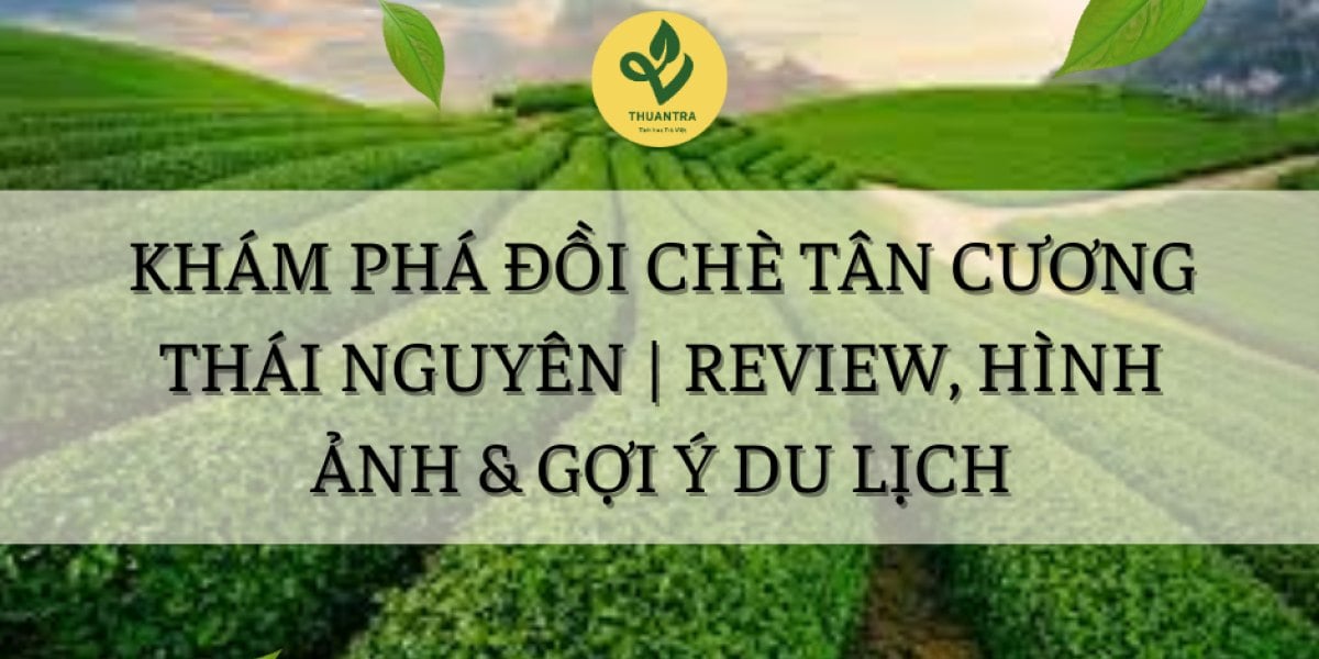 Khám Phá Đồi Chè Tân Cương Thái Nguyên | Review, Hình Ảnh & Gợi Ý Du Lịch