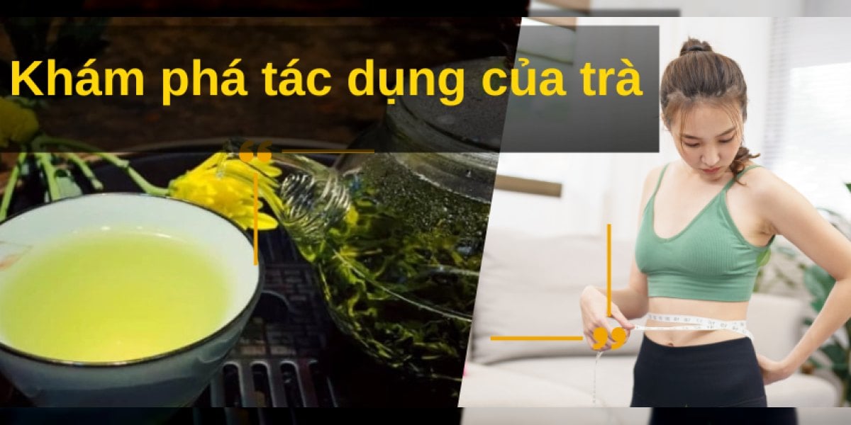 Khám Phá Tác Dụng Của Trà: Từ Giảm Cân Đến Tăng Cường Miễn Dịch Cho Cơ Thể