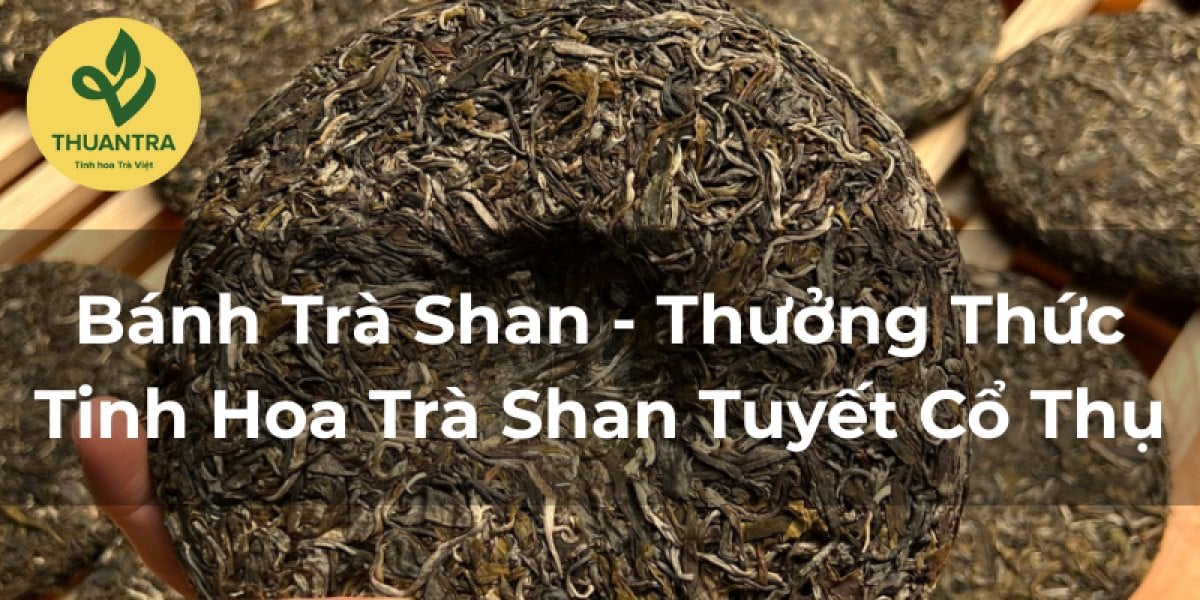 Làm Sao Chọn Được Bánh Trà Shan Đỉnh Cao Từ Chè Cổ Thụ?