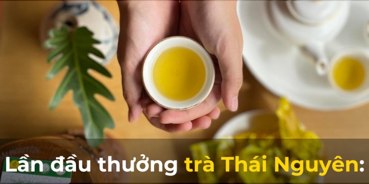 Lần đầu thưởng trà Thái Nguyên: Những ấn tượng khó quên