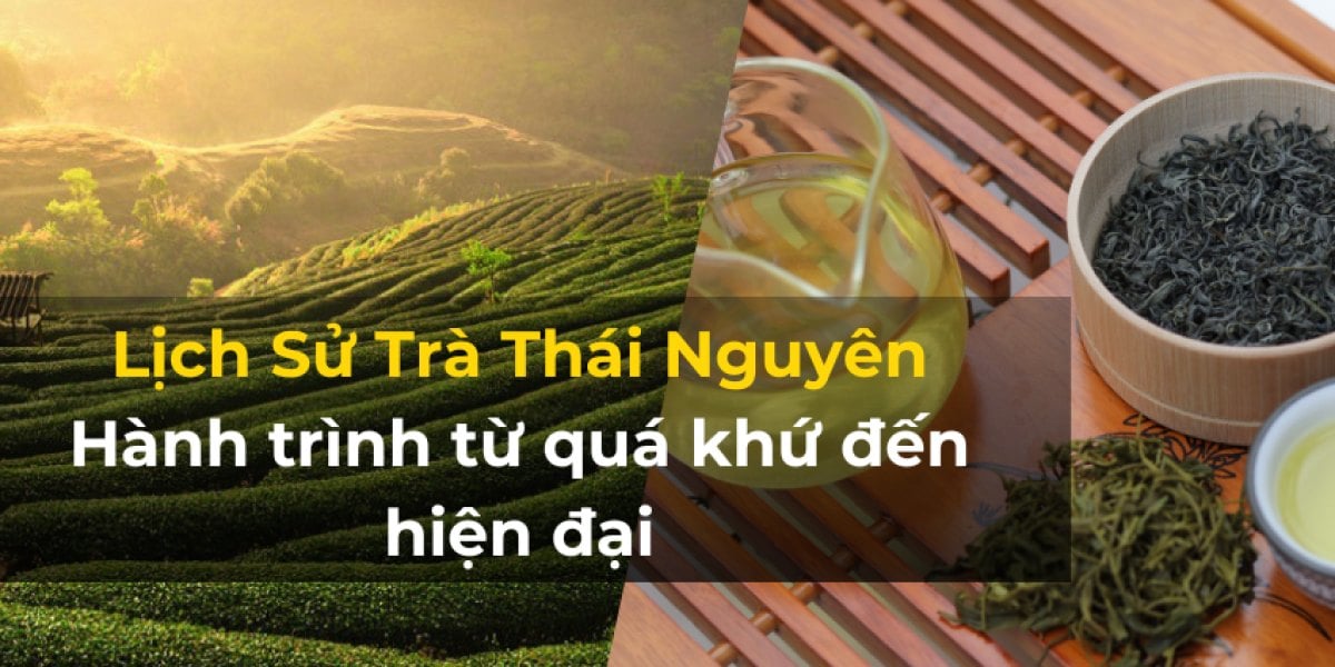 Lịch Sử Trà Thái Nguyên: Hành Trình Từ Quá Khứ Đến Hiện Tại