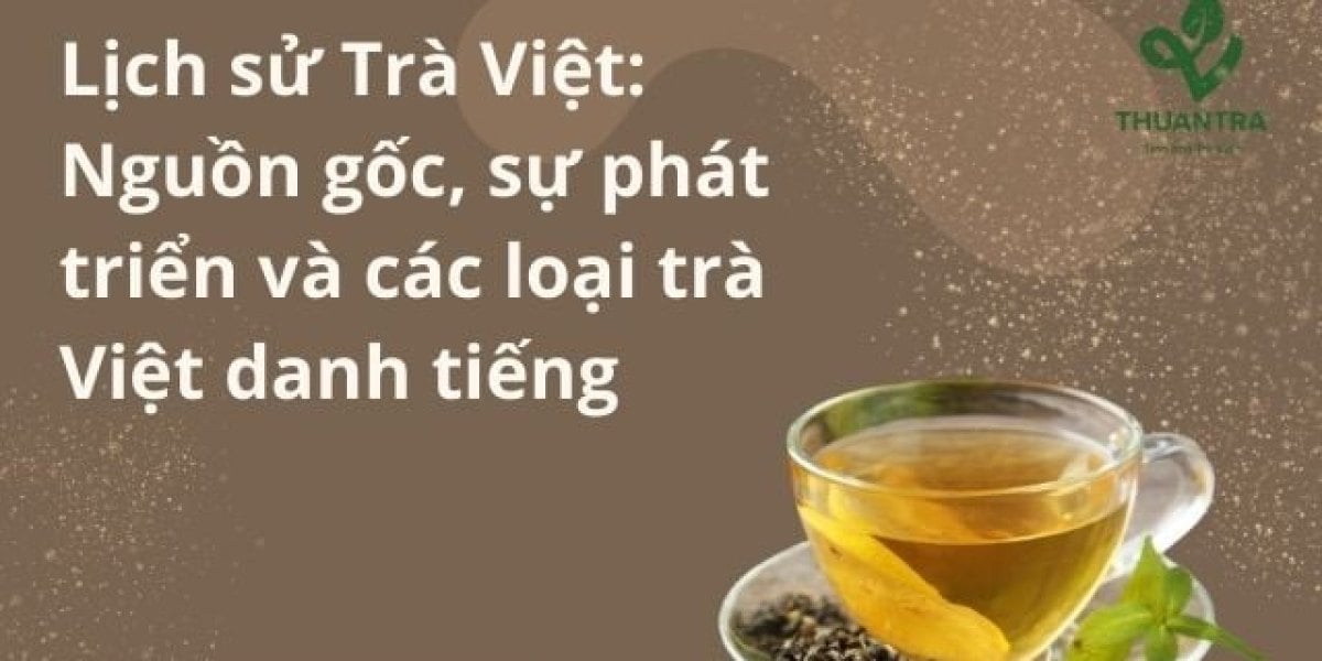 Lịch sử trà Việt Nam qua 8 mốc: từ rừng chè cổ thụ đến vùng chè Thái Nguyên và trà Việt hôm nay