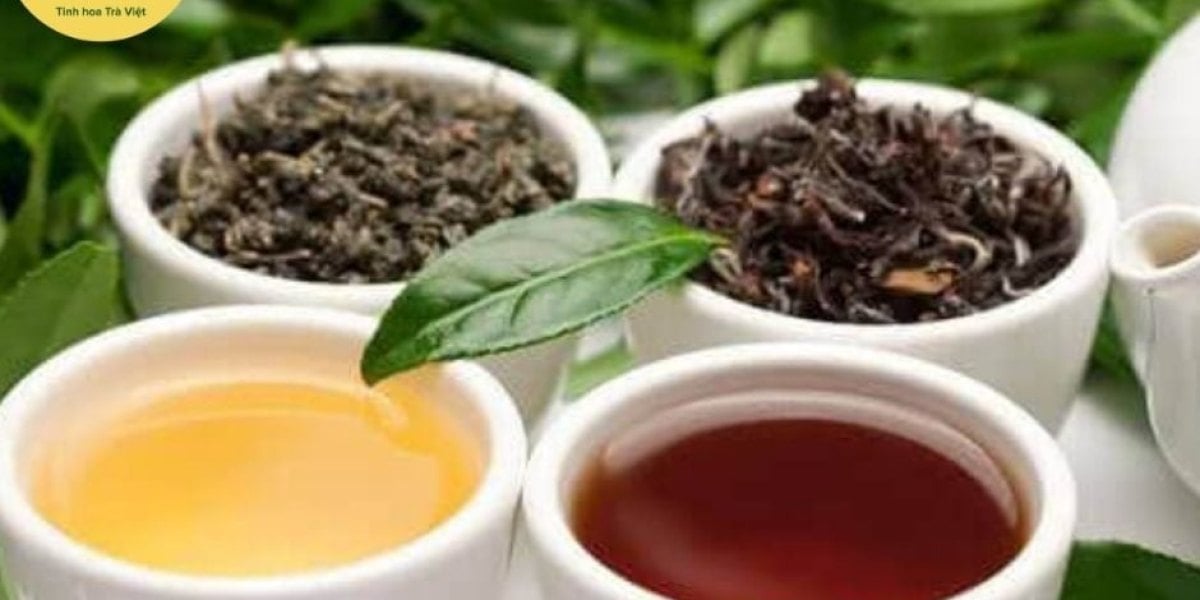 Mách Cho Bạn Sự Khác Nhau Giữa Trà Khô Và Lá Chè Tươi