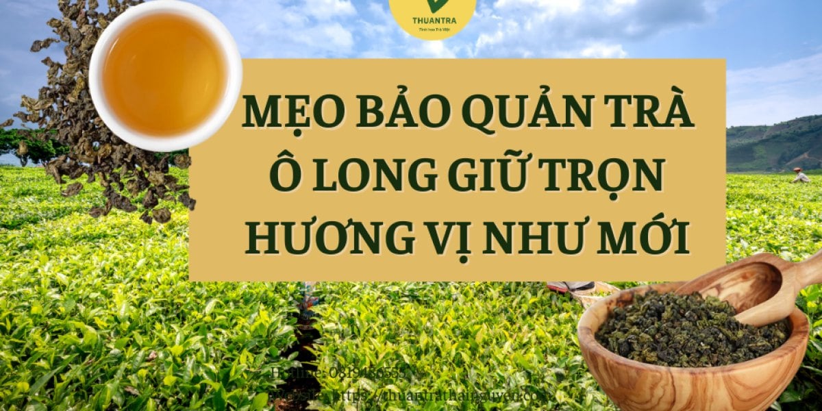 MẸO BẢO QUẢN TRÀ Ô LONG GIỮ TRỌN HƯƠNG VỊ NHƯ MỚI