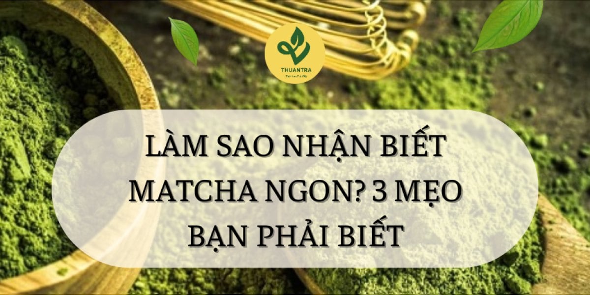 Làm Sao Nhận Biết Matcha Ngon? 3 Mẹo Bạn Phải Biết