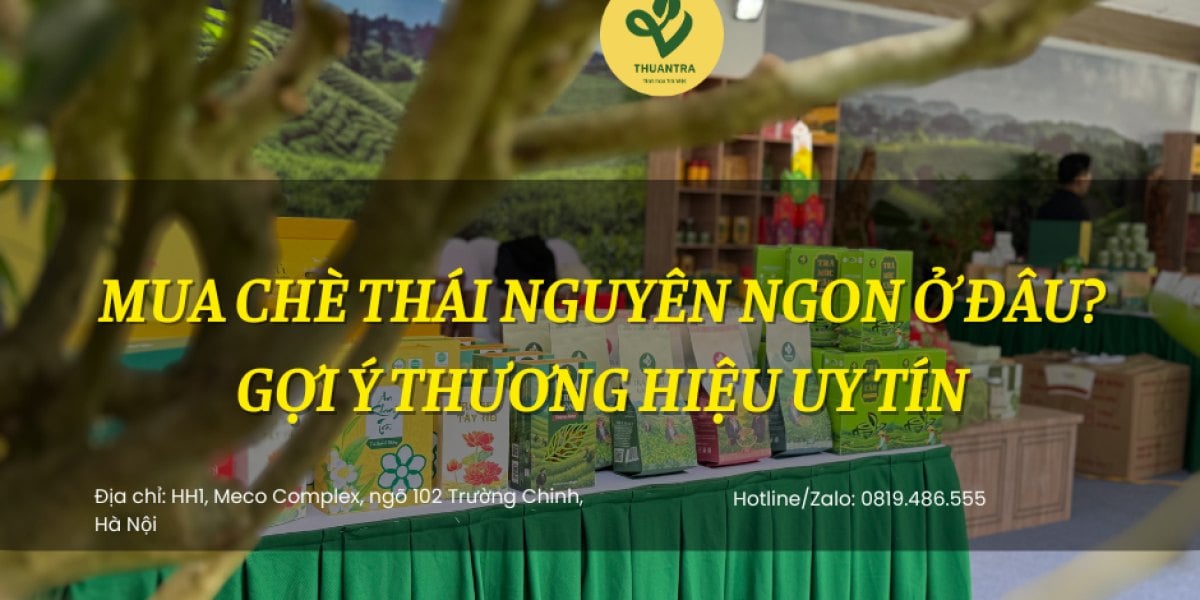Mua chè Thái Nguyên ngon ở đâu? Chọn kênh theo nơi bạn sống, mua tận vùng chè, mùa mua và 4 dấu hiệu thương hiệu uy tín