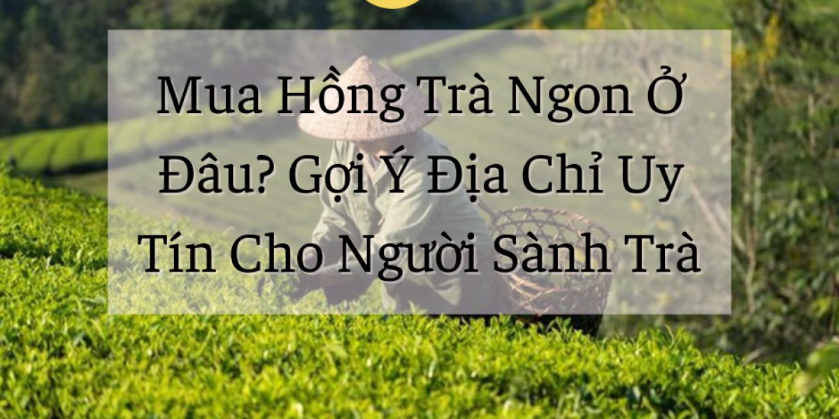 Mua Hồng Trà Ngon Ở Đâu? Gợi Ý Địa Chỉ Uy Tín Cho Người Sành Trà