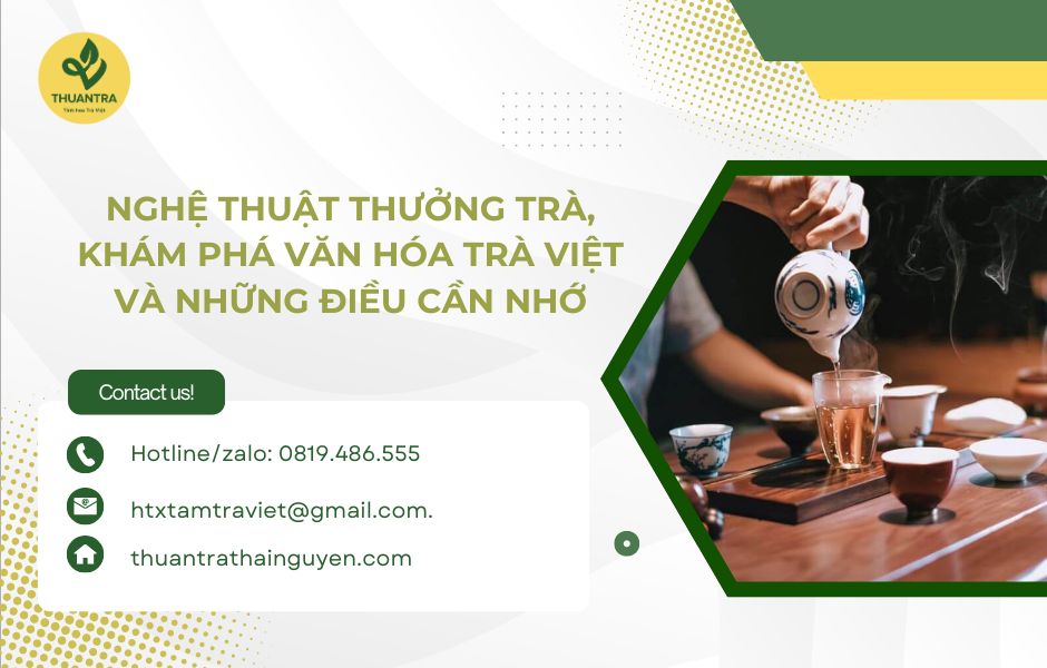 Nghệ thuật thưởng trà, khám phá văn hóa trà Việt và những điều cần nhớ