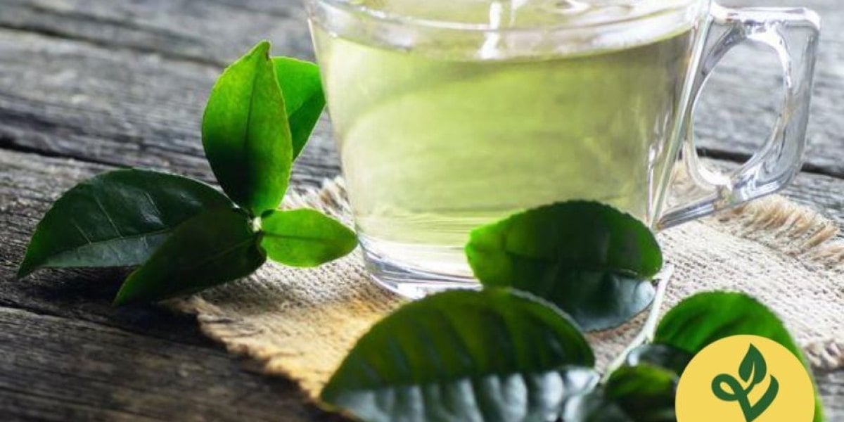 Những điều đặc biệt về Trà Xanh mà bạn nên biết
