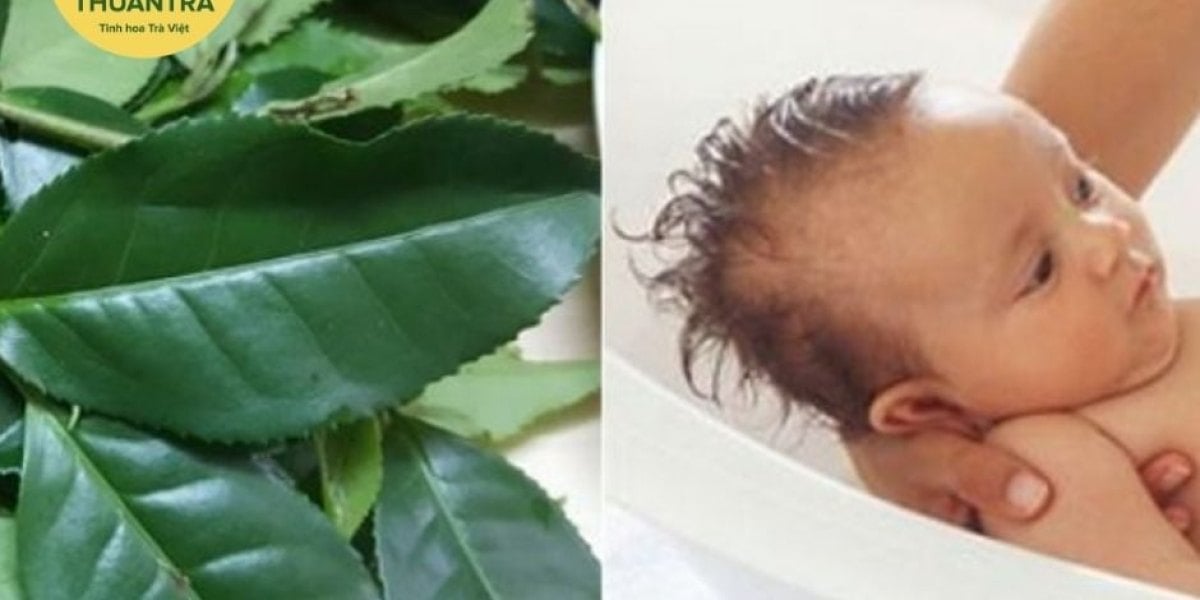 Nước Trà Xanh Có Tác Động Gì Đến Da Em Bé?
