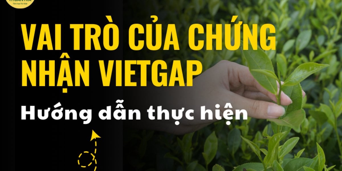 Chứng nhận VietGAP trong trồng chè: vai trò thật, cách đọc một giấy VietGAP, hiệu lực bao lâu và quy trình để vùng chè được cấp